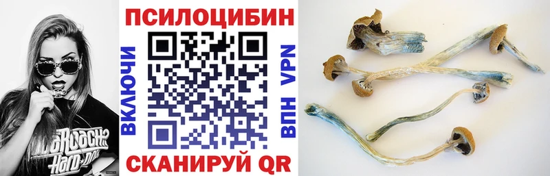 Галлюциногенные грибы прущие грибы  Апрелевка 