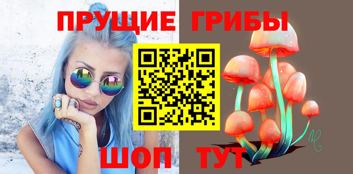 Псилоцибиновые грибы мицелий Апрелевка